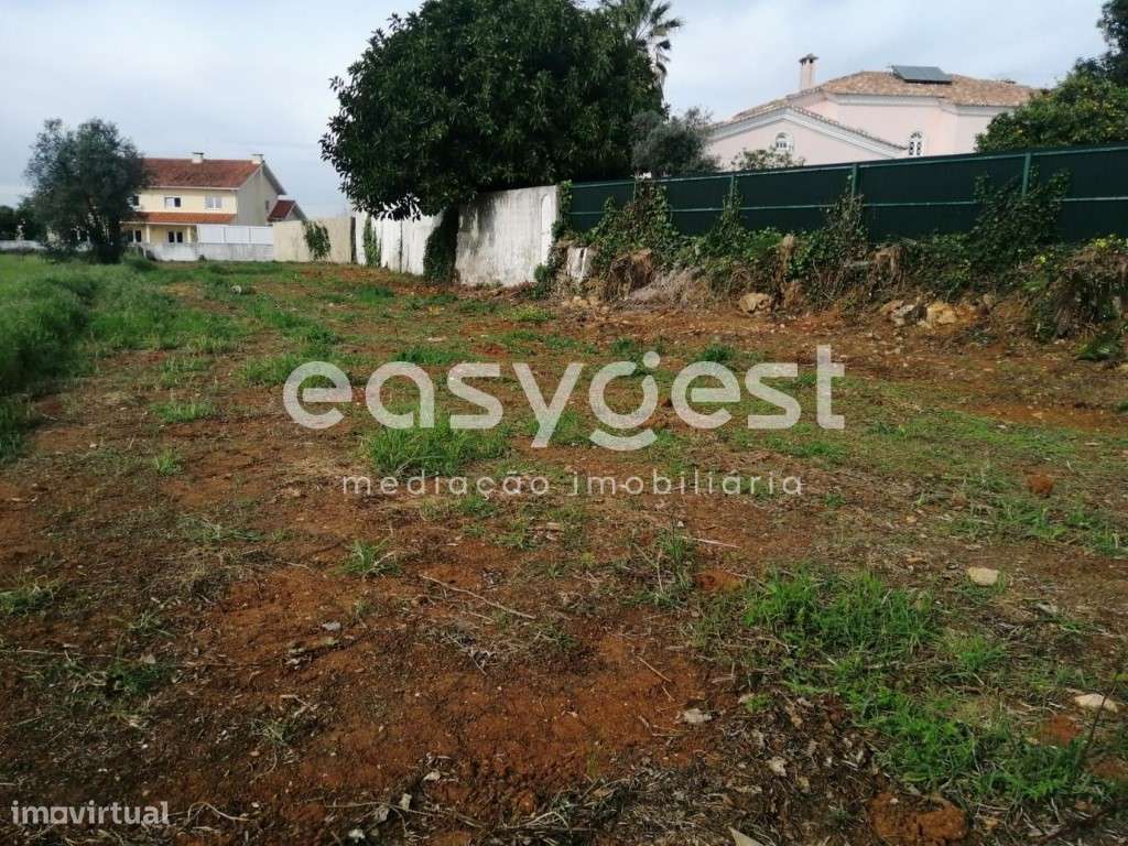 Terreno com 1130 m2,destinado a construção urbana-Condeixa - a- Velha - Grande imagem: 4/12