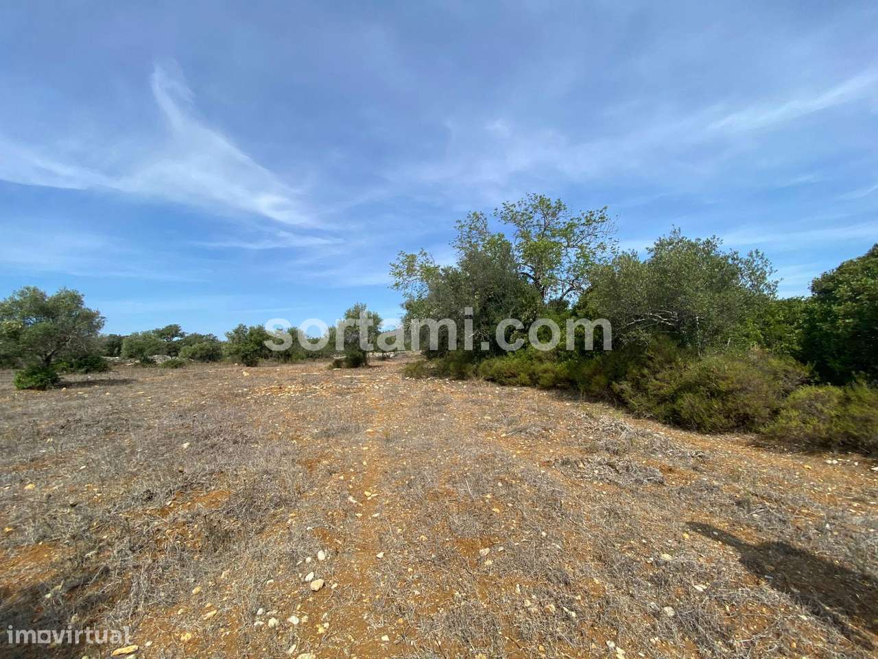 Terreno Para Construção  Venda em São Brás de Alportel,São Brás de Alp - Grande imagem: 3/10