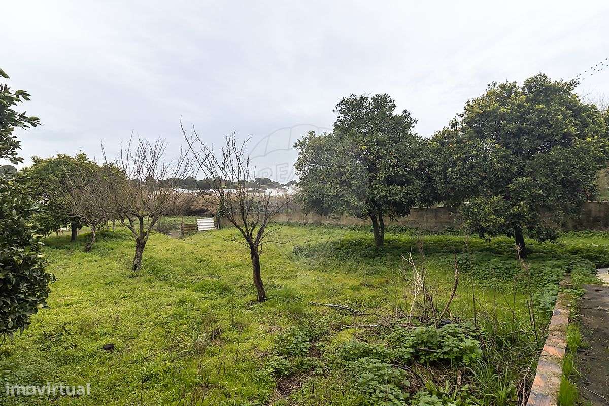 Moradia T3 para venda-31