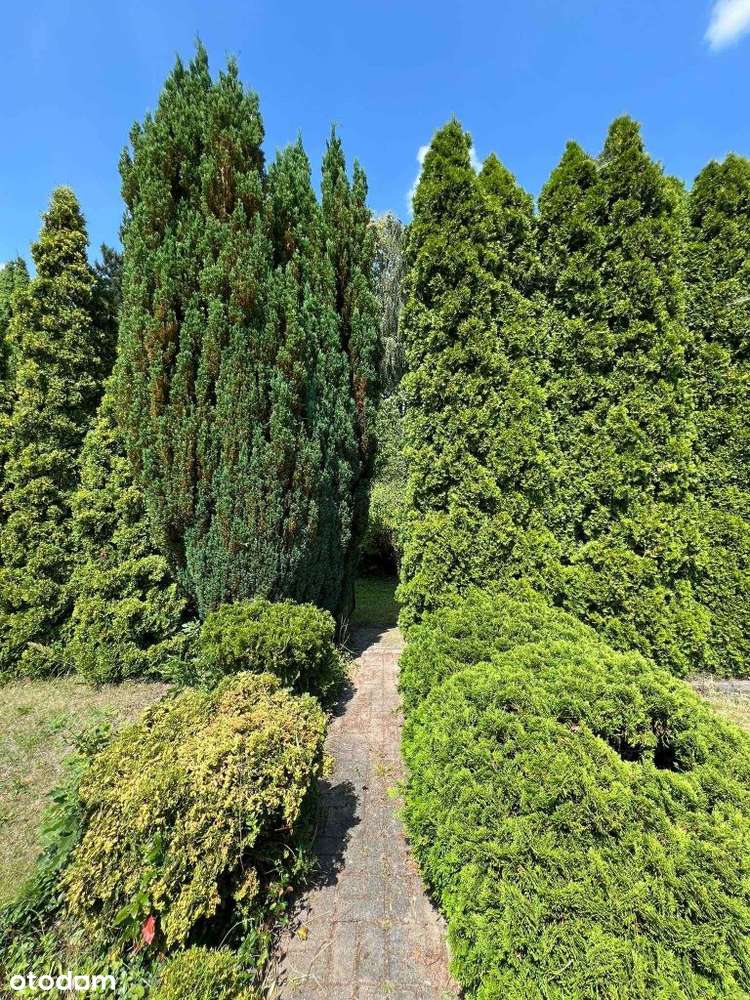 Piękna działka rekreacyjna Rod 282m2. Tysiąclecie,-8