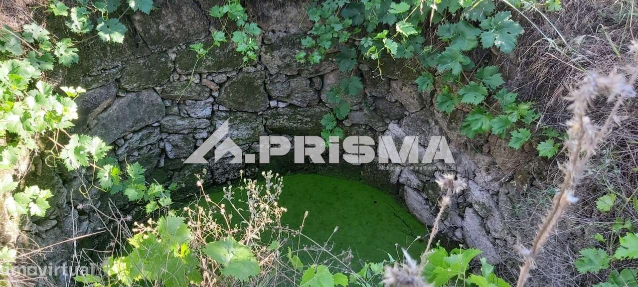 Quintinha para venda em Póvoa Rio de Moinhos - Grande imagem: 3/6