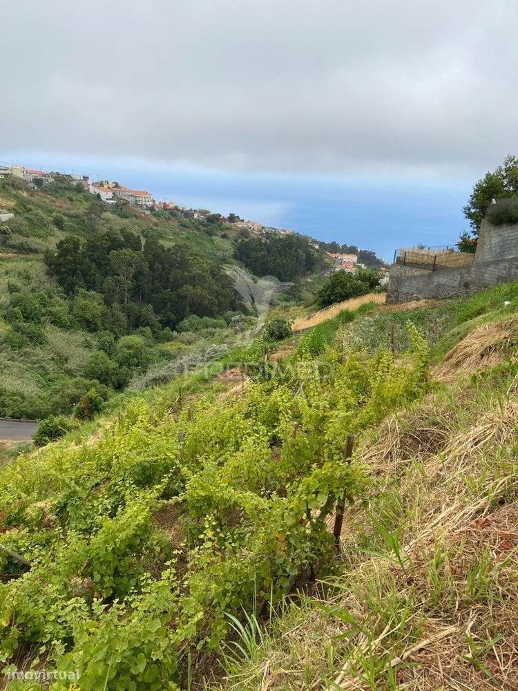 Moradia e palheiro em pedra com 2.770m2 de terreno no Arco da Calheta - Grande imagem: 3/9