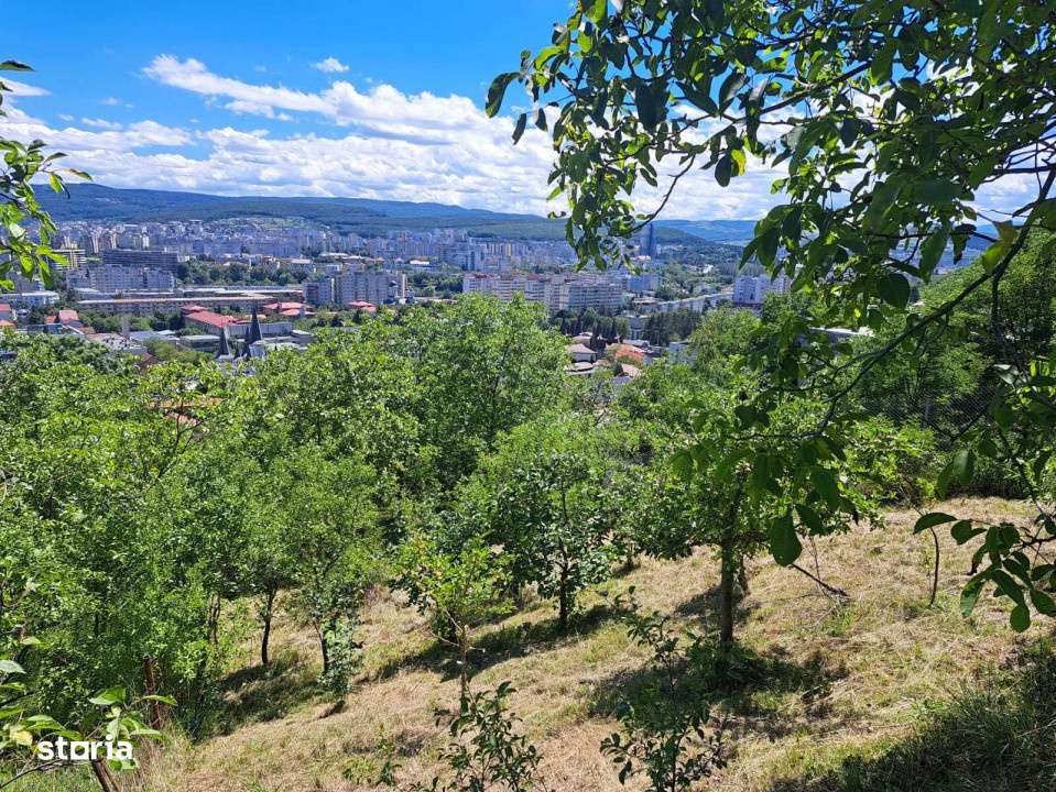 Teren intravilan 1640mp, Grigorescu, zona Hotel Premier, destinatie co-1