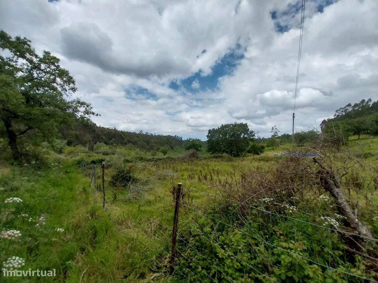 Terreno Agrícola || Pombal - Grande imagem: 5/8