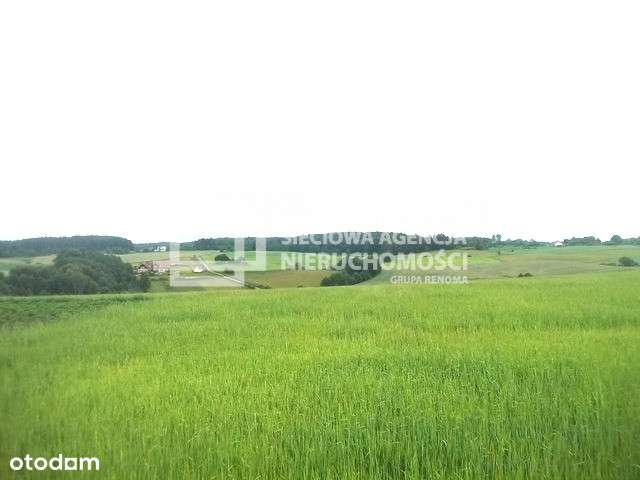 Piękna Działka Na Kaszubach Blisko Jeziora - Pełny obrazek: 5/9