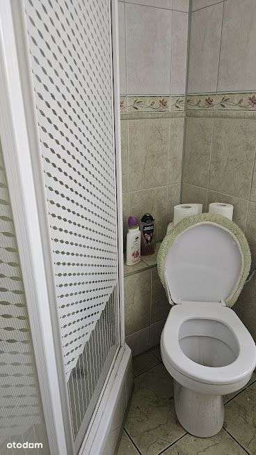 Duży dom z potencjałem, Żory, Wodzisławska-13