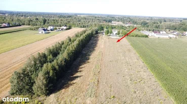 Działka na sprzedaż, Zakrzew - Pełny obrazek: 5/5