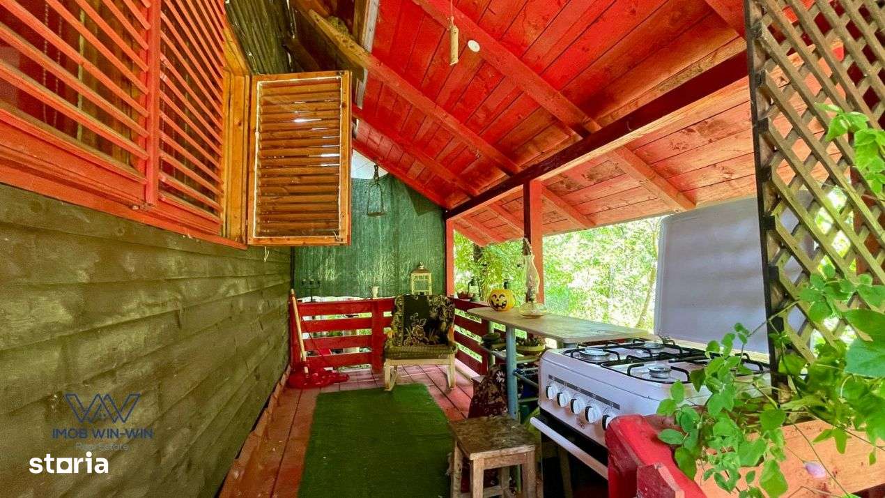 Casa Vacanta Babana!-3