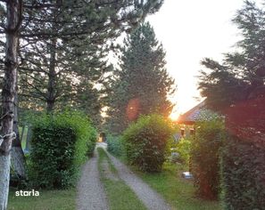 Proprietate agroturistică de vânzare - Agapia, 380.000 Euro - Imagine principală: 4/12