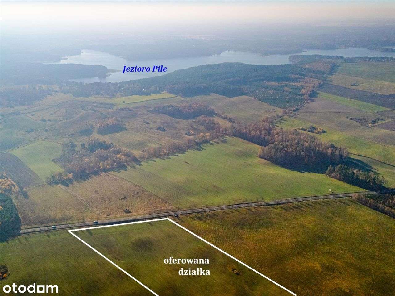 Działka siedliskowa - Krągi-14