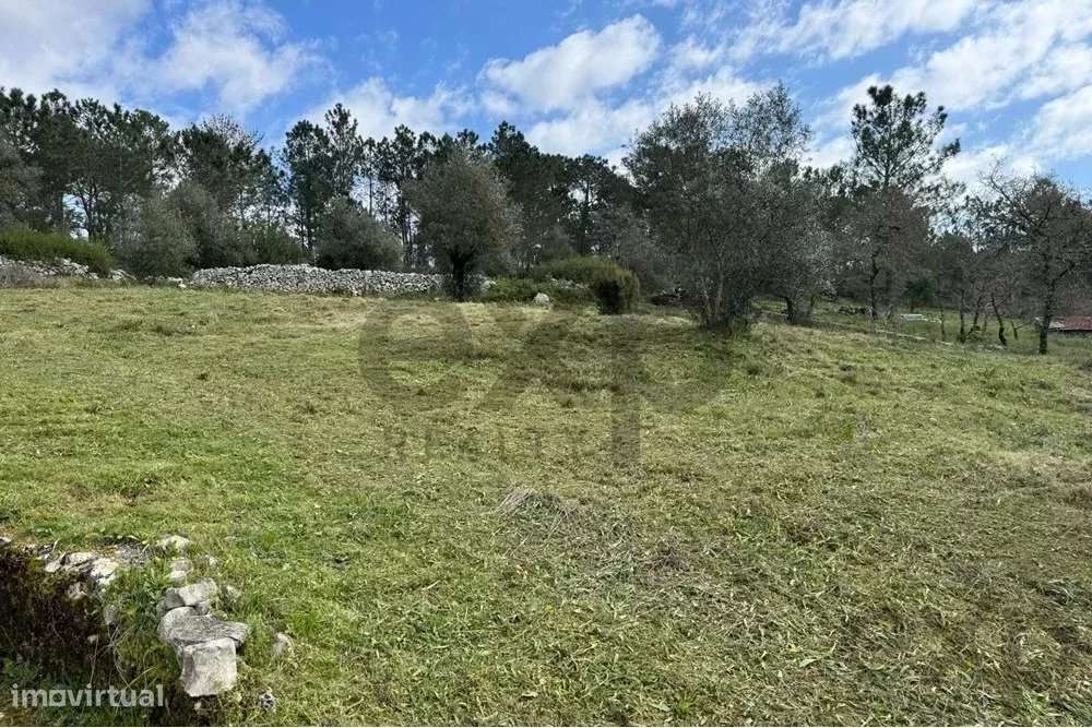 TERRENO DE 1440 m2 COM PROJETO EM ALQUEIDÃO DA SERRA. PORTO DE MÓS - Grande imagem: 3/26