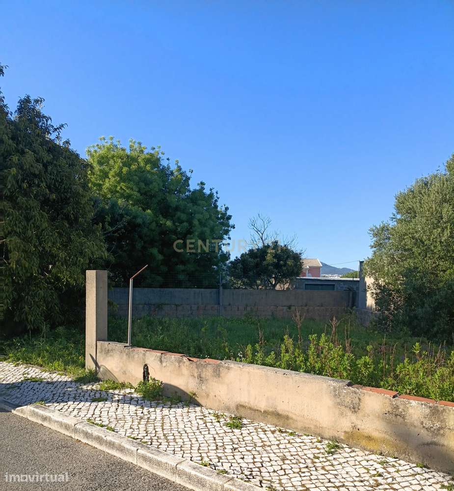 Excelente oportunidade de investimento com 350m2-3