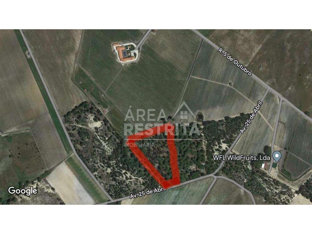 Terreno em Pegões- 14250 m2 - Área de construção até 500 m2 - Grande imagem: 2/32