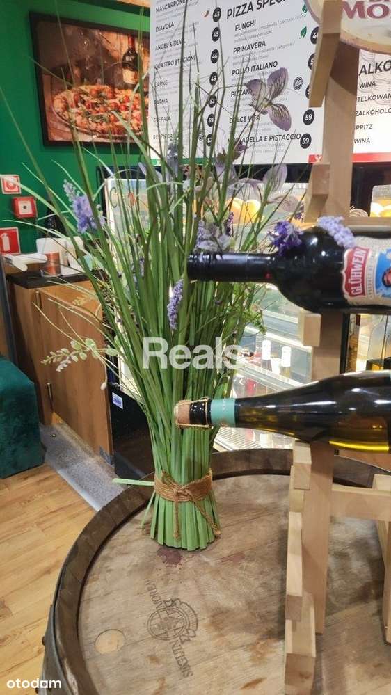 Kompletny koncept gastronomiczny-włoska pizzeria - Pełny obrazek: 4/4