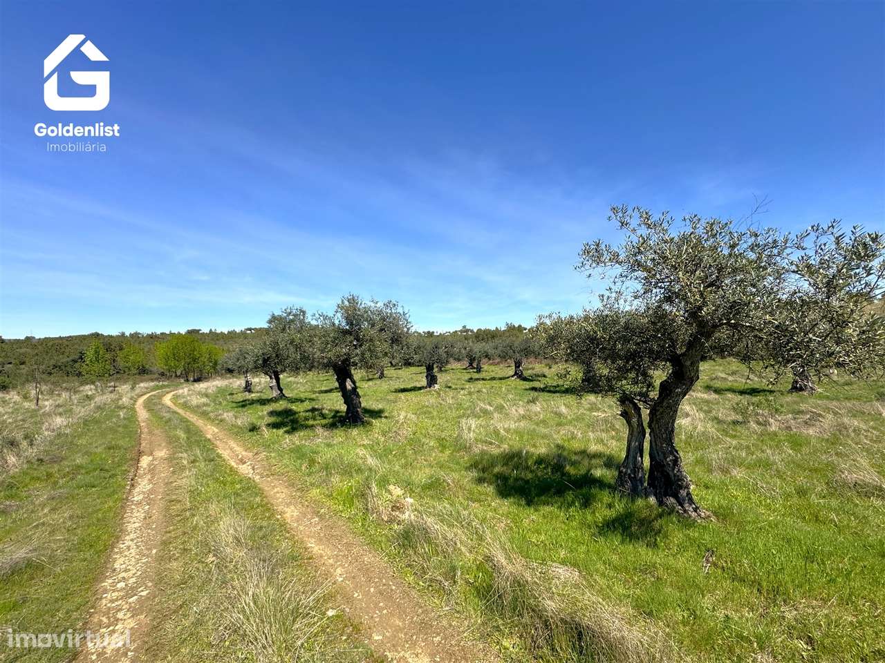 Herdade  Venda em Penamacor,Penamacor-30