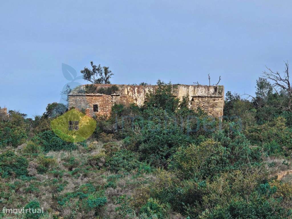 Terreno Rústico, com ruina não registada, em local muito calmo, bom... - Grande imagem: 2/34