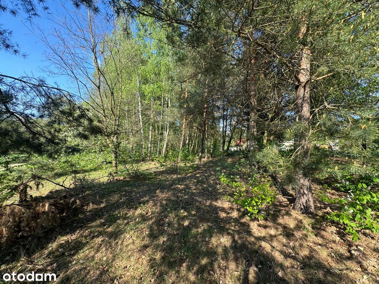 Działki budowlane. Słubica. Żabia Wola-5