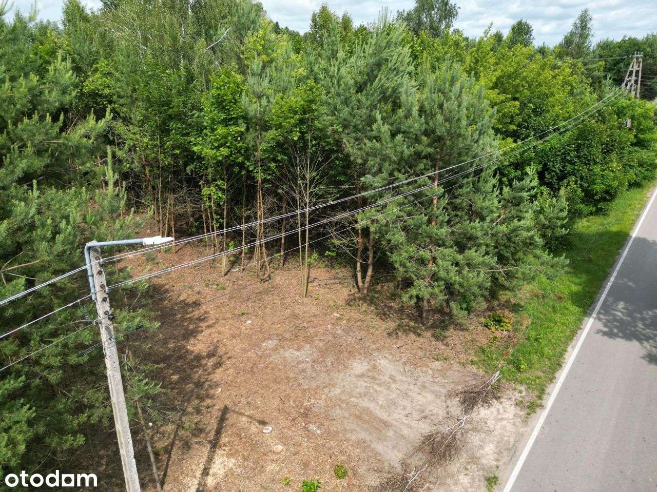 Działka budowlana bardzo blisko Narwi. 1146 M - Pełny obrazek: 3/18