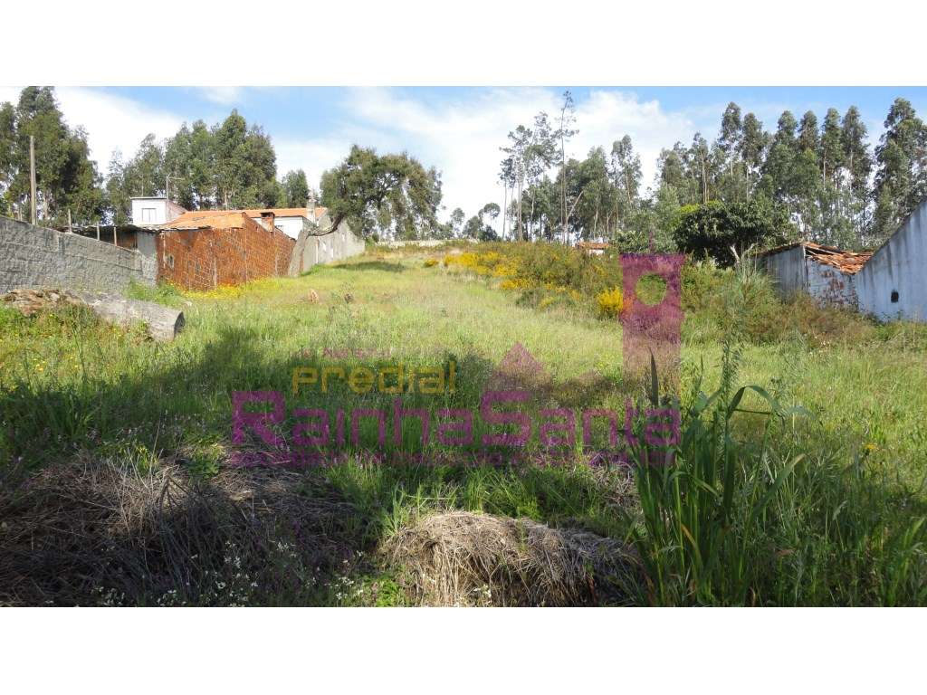 Terreno c/ viabilidade de construção - Coimbra - Grande imagem: 4/6