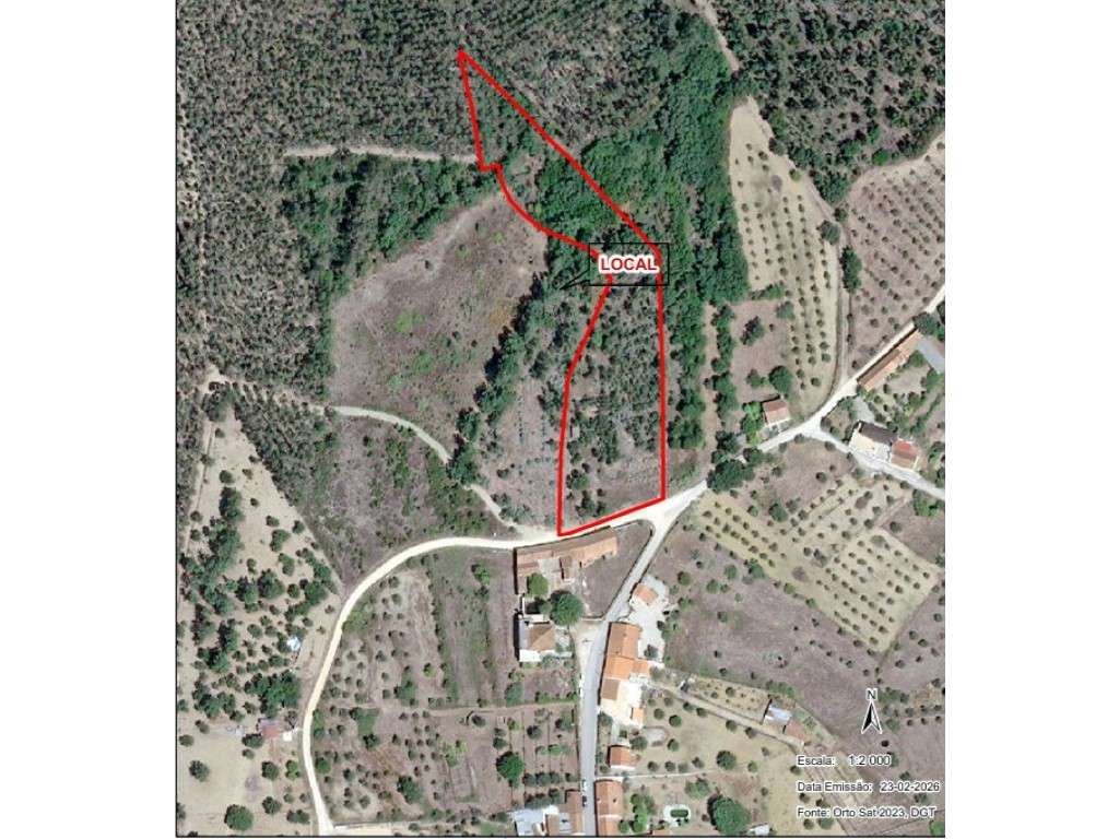 TERRENO RUSTICO OLALHAS TOMAR SANTAREM - Grande imagem: 4/12