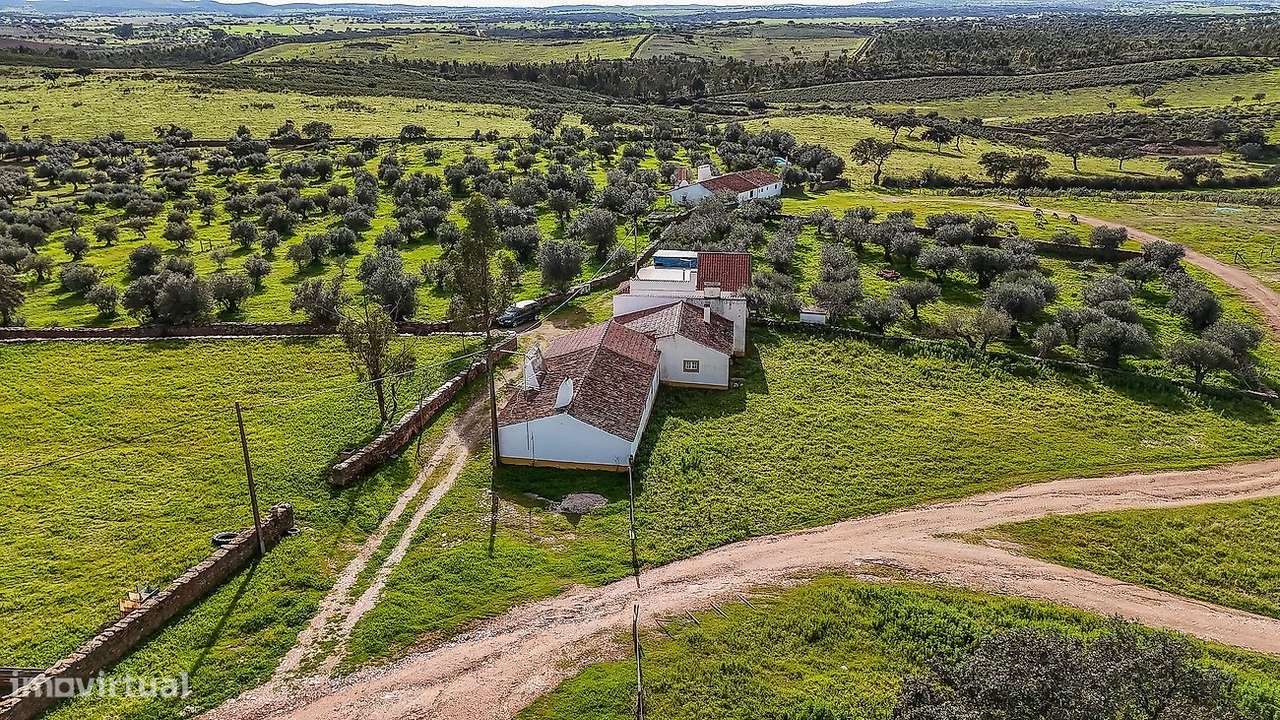 Quinta  para venda-14