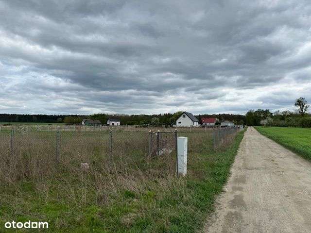 Ładne działki, las, jezioro-Nienawiszcz-PROMOCJA!!-18