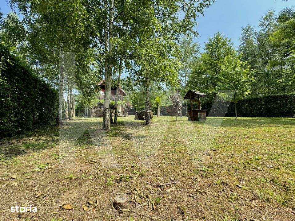 Cabana rustica de vis pe Valea Avrigului – un colt de rai in mijlocu - Imagine principală: 2/19