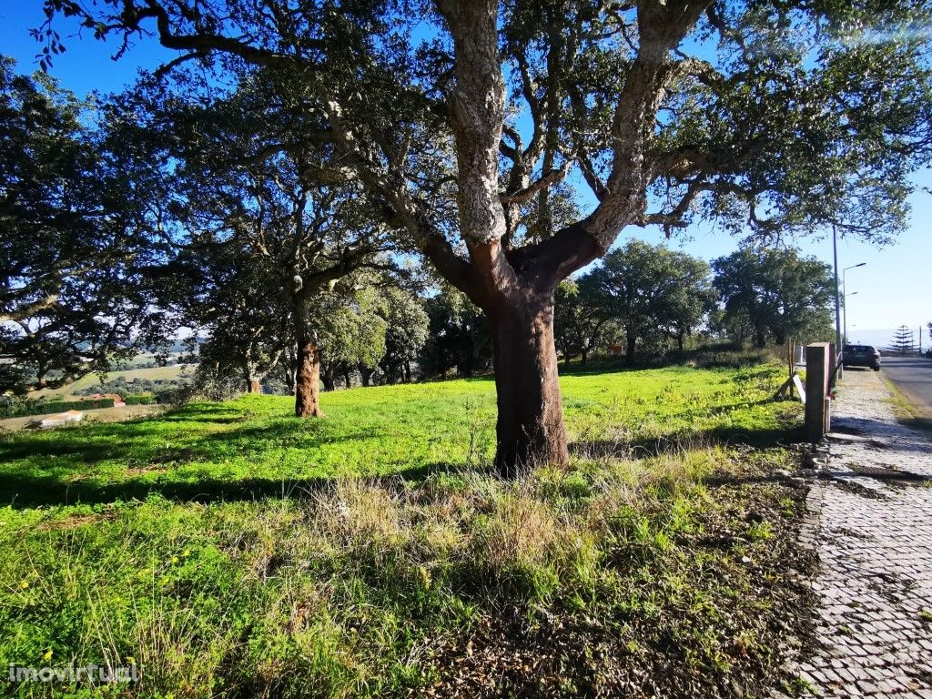 Lote em Óbidos com vista desafogada sobre o campo