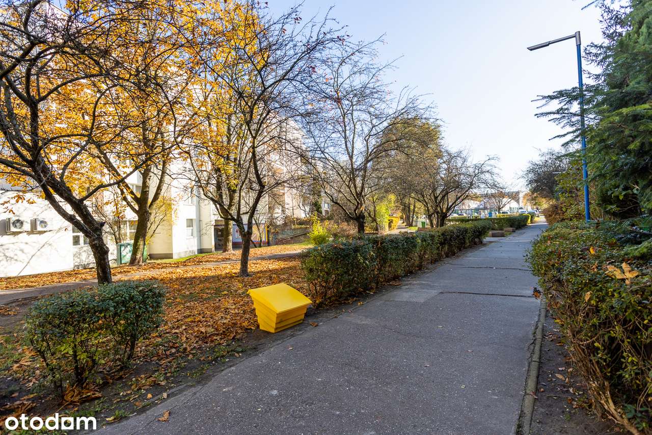 Przestronne 71 mkw 5 pokoi  / wysoki parter-12