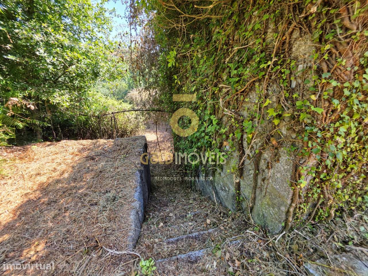 Quinta T4 Venda em Sobrado e Bairros,Castelo de Paiva-18