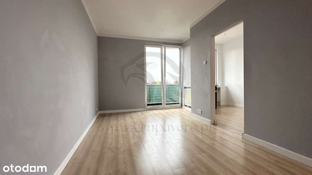 Twoja opowieść w koronach drzew - Pełny obrazek: 4/20