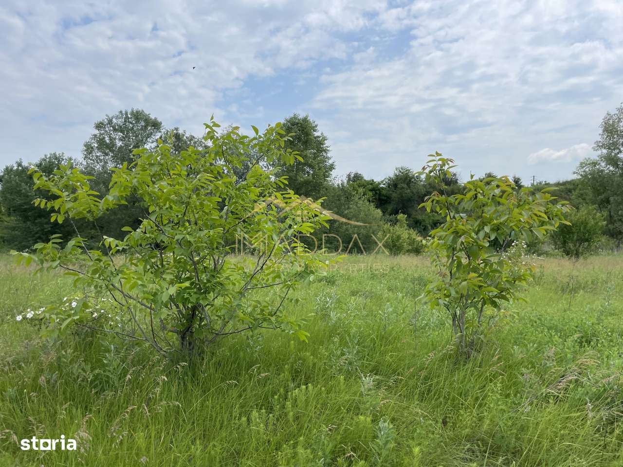 Teren intravilan***1439 mp***Cretesti-Vidra-Ilfov - Imagine principală: 2/20