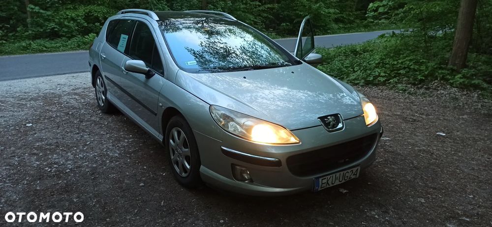 Peugeot 407