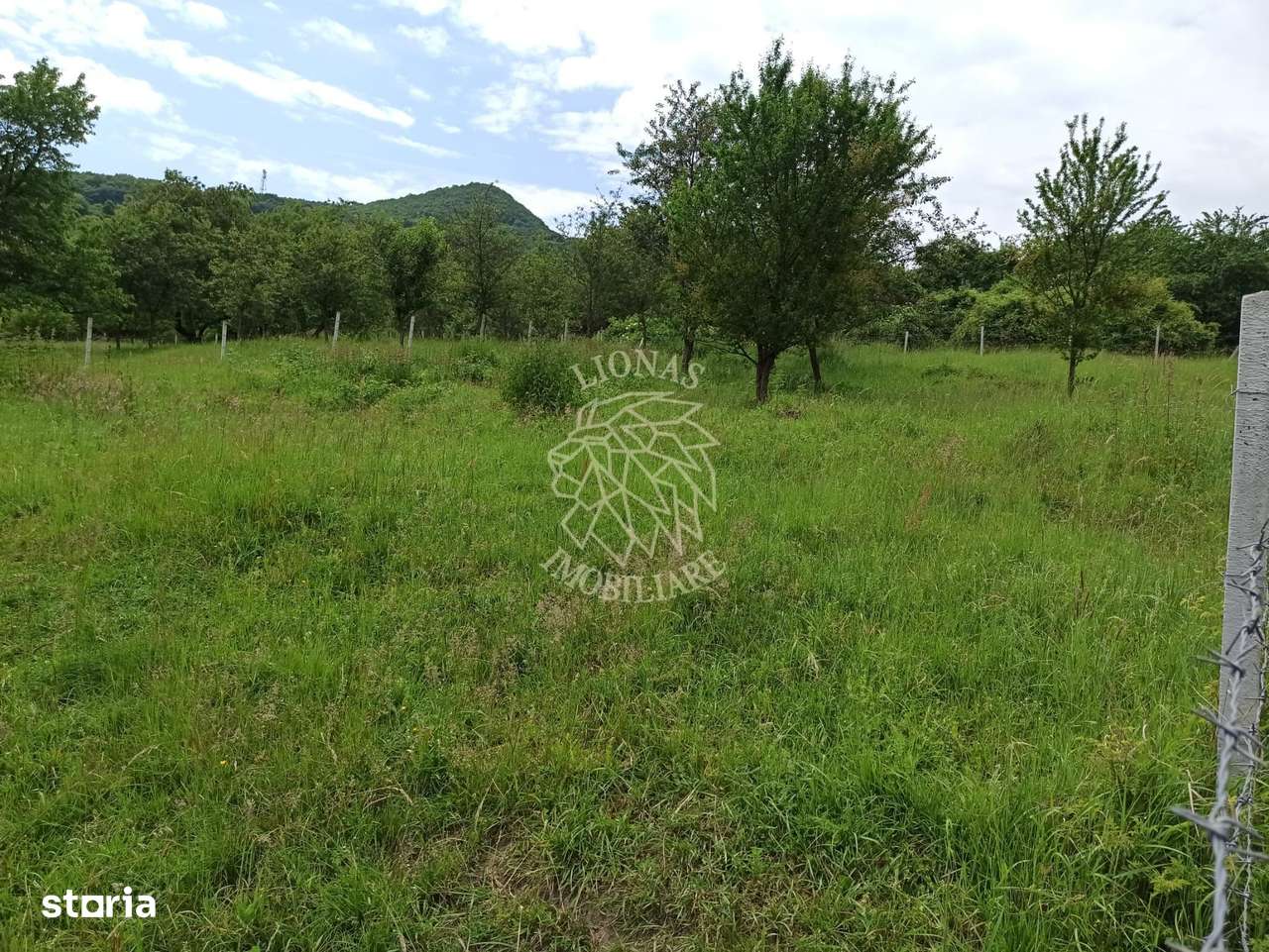 Teren 1000mp+cota drum-ideal cabana/investitie-panorama-Valea Rusului - Imagine principală: 5/5