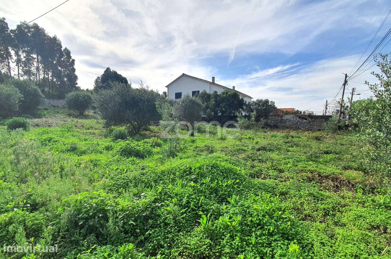 Excelente terreno para construção de moradias - Grande imagem: 3/6