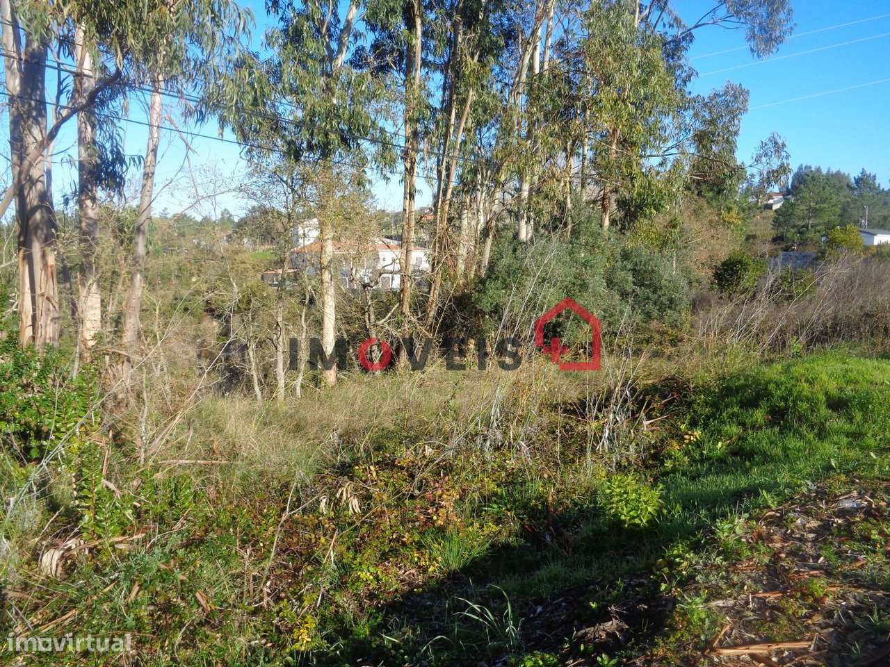 Lote terreno para construção - Grande imagem: 3/3