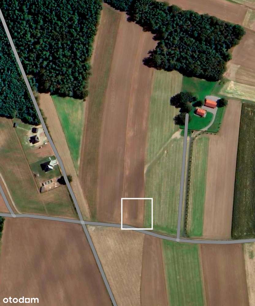 Działka w uroczej scenerii 7 km od Olesna! - Pełny obrazek: 4/6