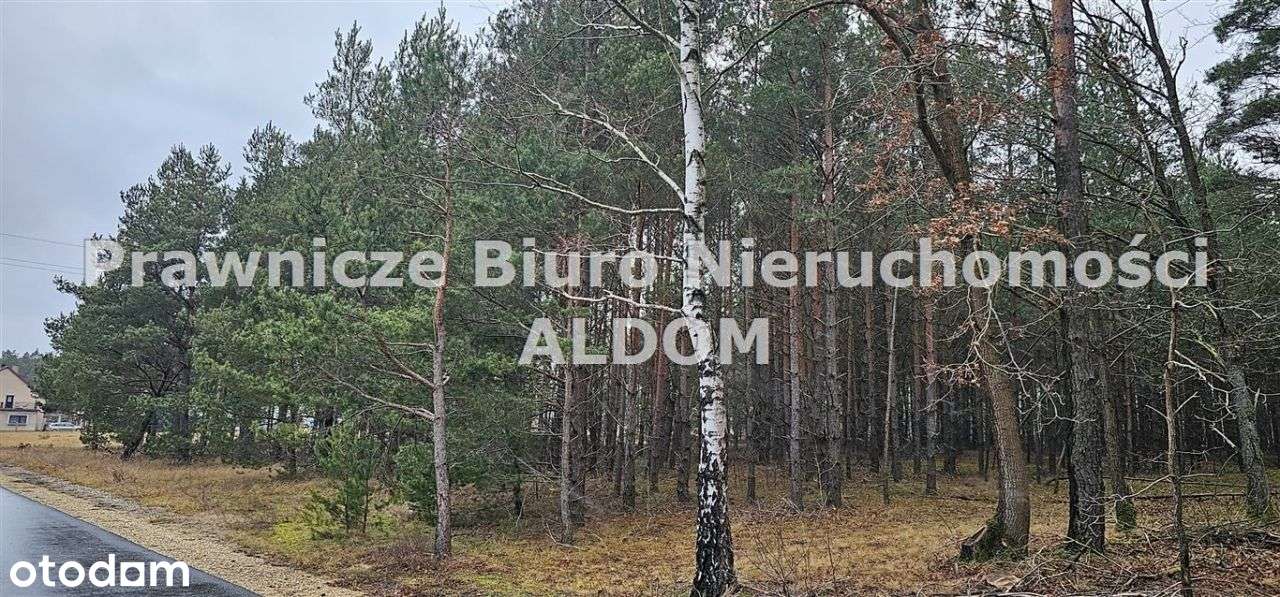 Działka, 1 100 m², Dobrodzień-2