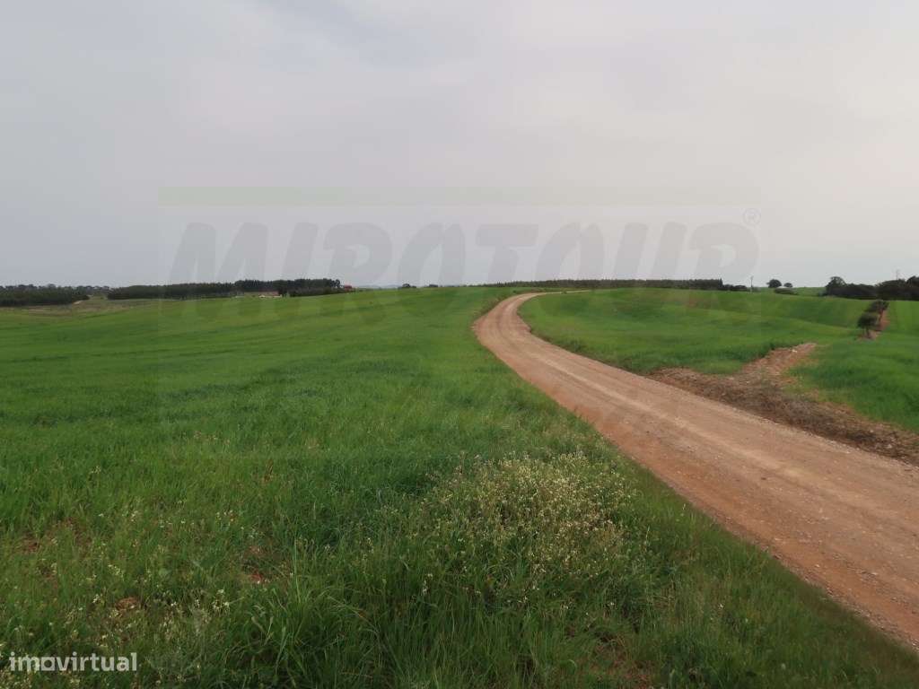 Quinta em excelente localização-22