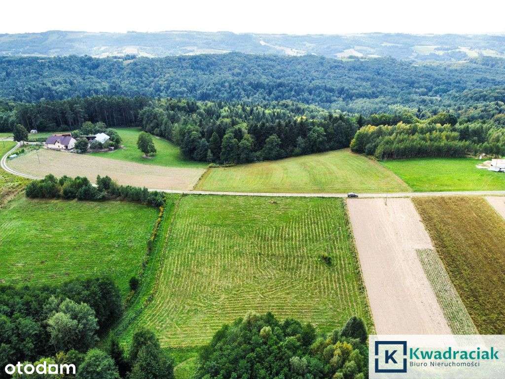 Huta Gogołowska – działki z widokiem, Wz, mediami.-5