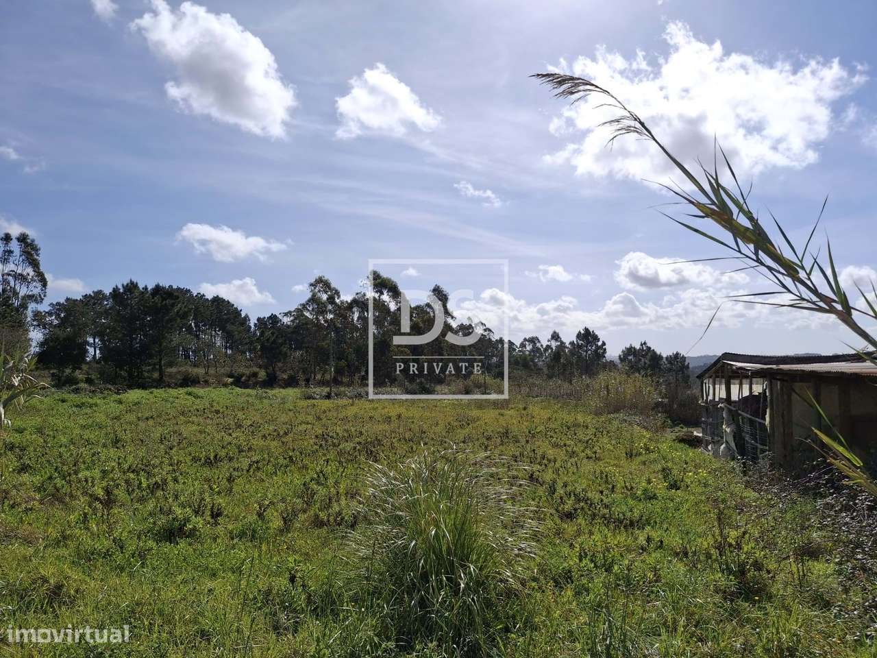 Terreno para construção de 3 Moradias em Sto Isidoro - Grande imagem: 4/8
