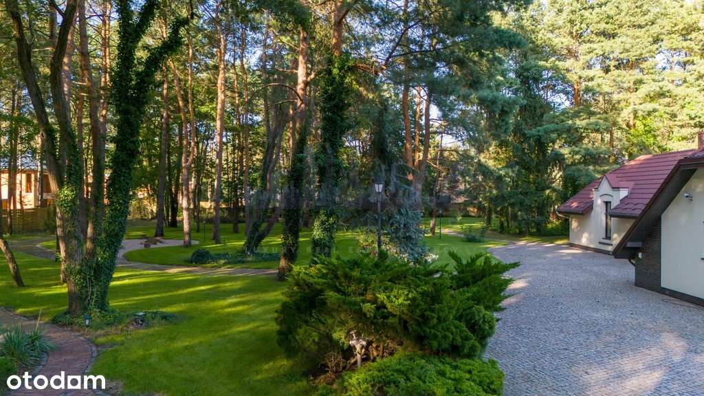 Stylowy klasyczny dom w Józefowie SPA 1ha park - Pełny obrazek: 5/20