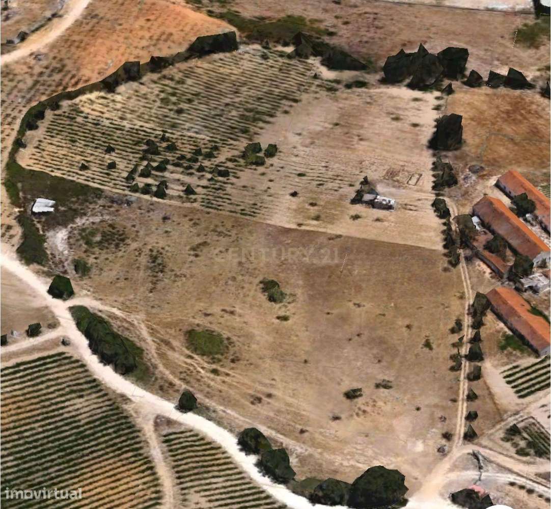 Terreno em Palmela - Grande imagem: 3/4