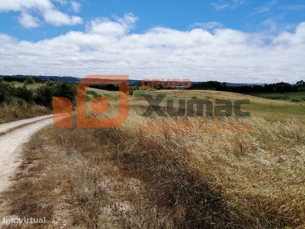 Terreno Rústico com quase 3 hct. plano- Zona de Óbidos! - Grande imagem: 4/6