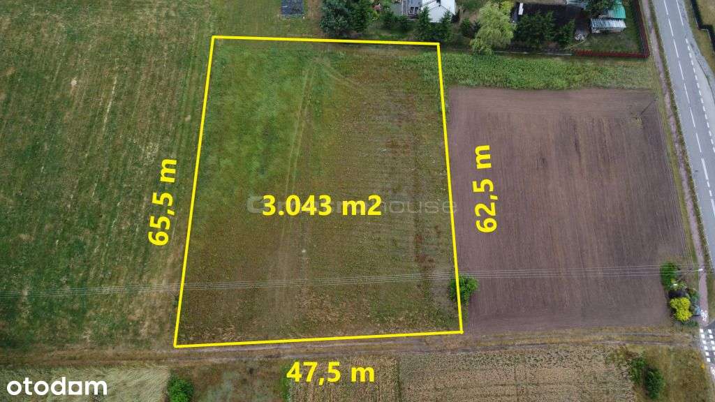 Działka, 3 043 m², Blochy - Pełny obrazek: 5/7