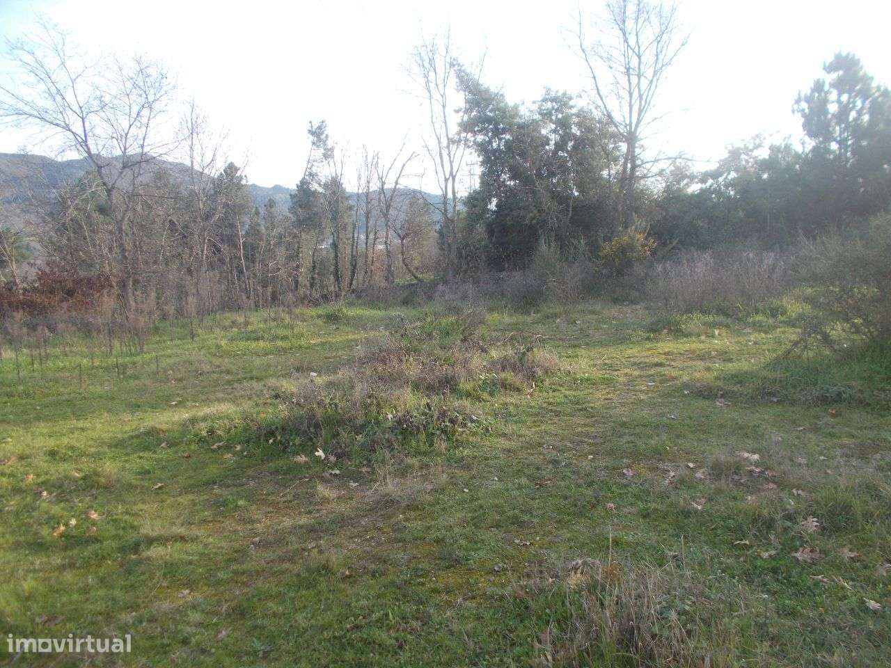 Chaves Samaiões - Grande imagem: 4/6