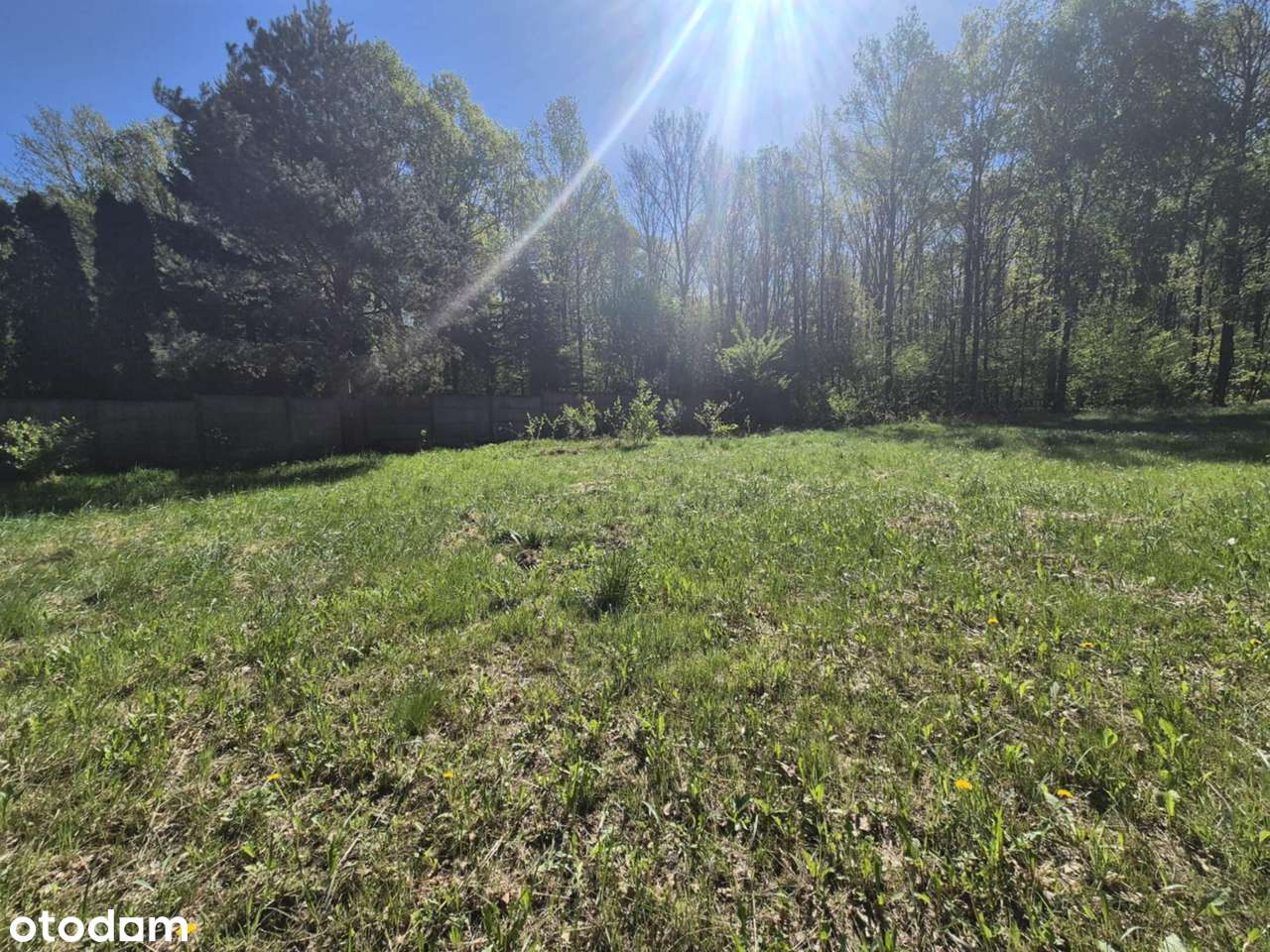 Działka w sąsiedztwie lasu - Pełny obrazek: 2/11