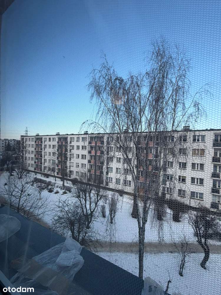 Mieszkanie 3 pokoje, balkon, centrum, blok ocieplony-8