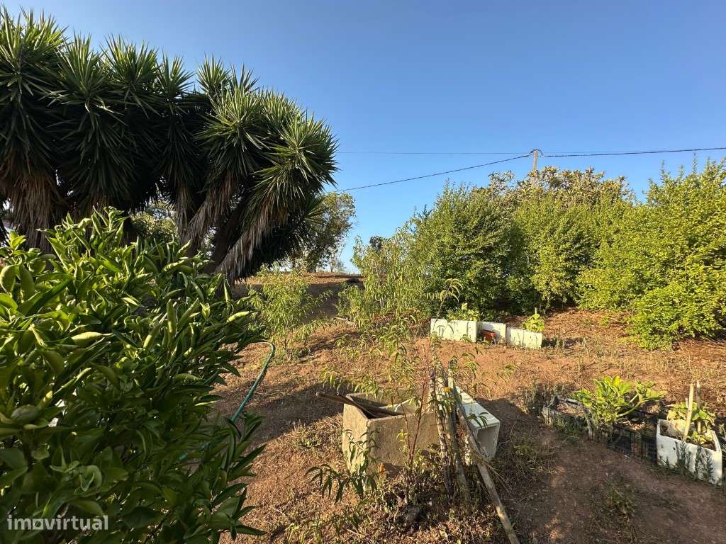 Monte Alentejano com 3,4 ha de natureza e potencial turístico-34
