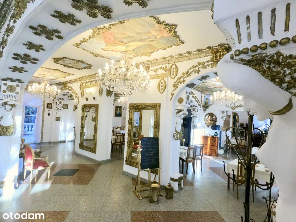 Przepiękny Pałac Tarnowskich czeka na nabywcę.-7